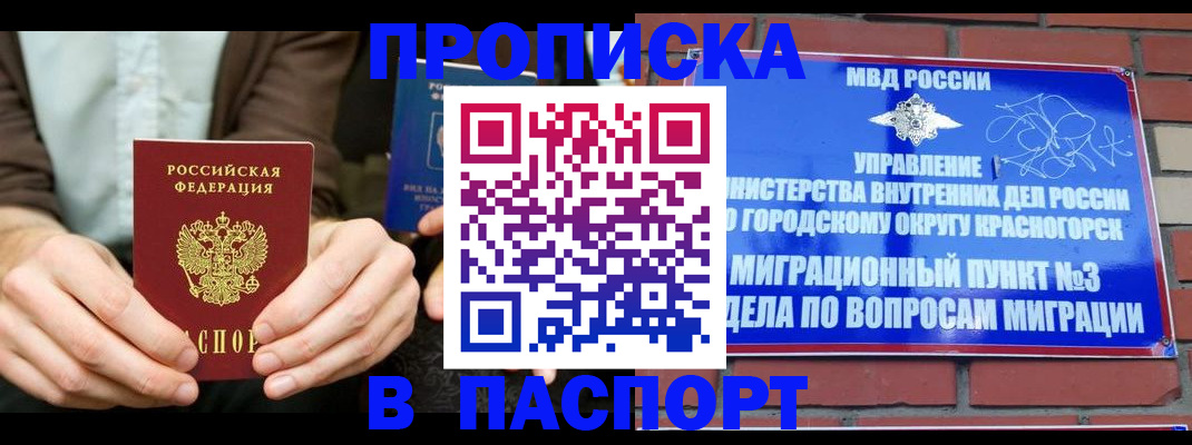 где прописаться в Мончегорске